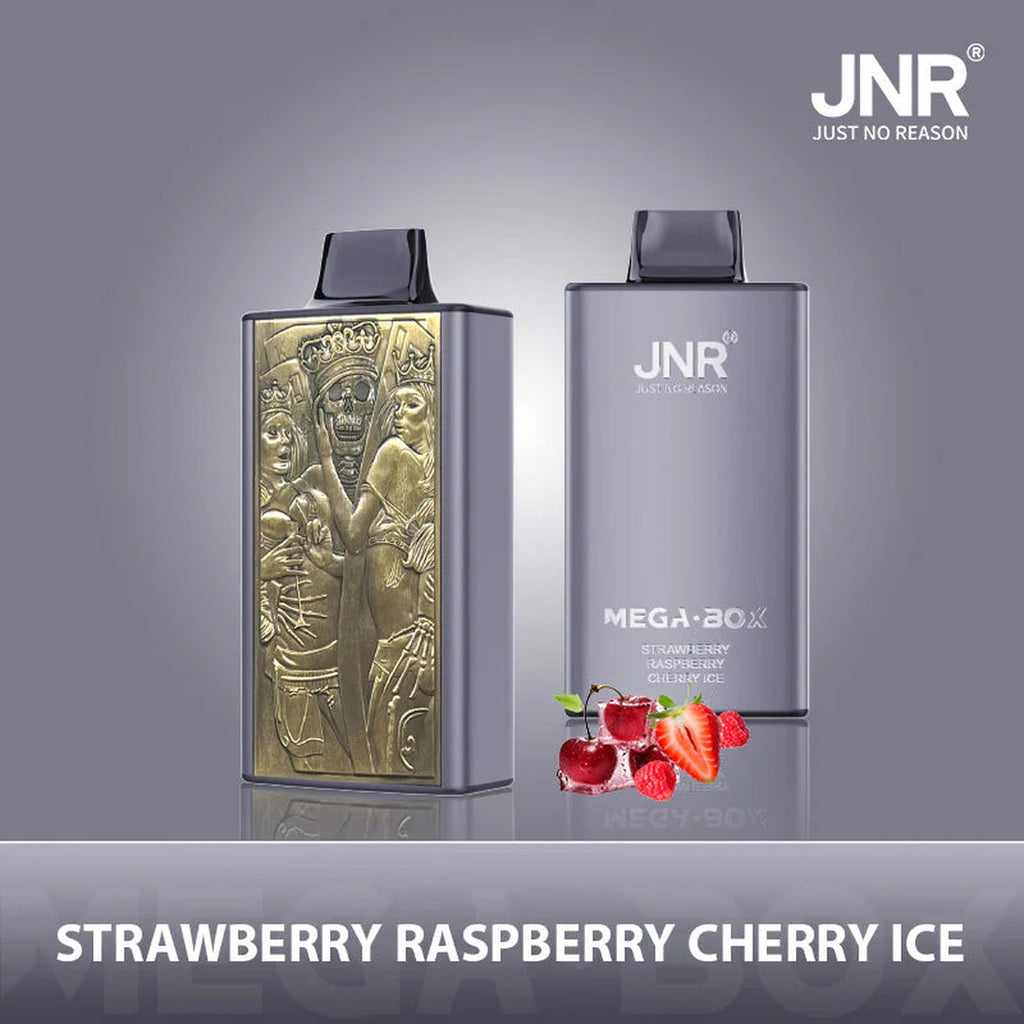 JNR Mega Box 25000 Puffs Prefilled Vape Pod Kit - Box of 10